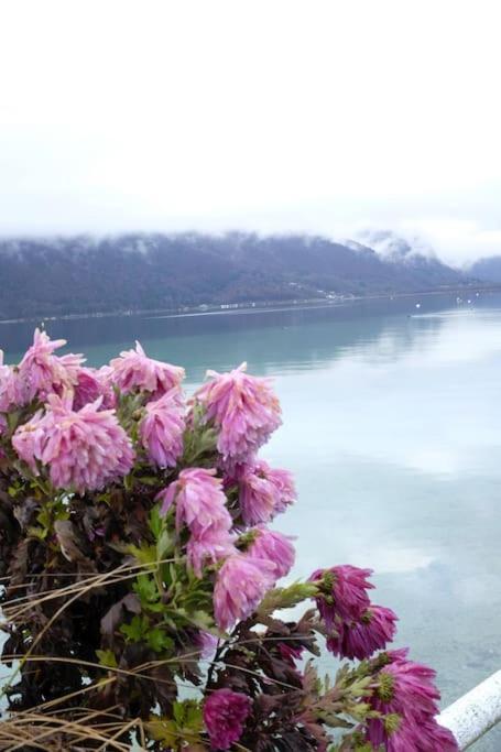 Coconlagon Serenite Au Lac D'Annecy Doussard Exterior photo